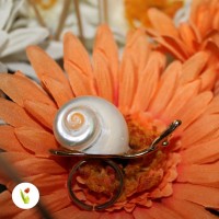 Anello Va-lentina